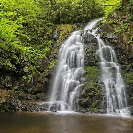 Her Majesty'S Way, Awesome Mtn Views, 1089 Free Tickets Each Paid Day, Dollywood And More Гатлінбург Екстер'єр фото