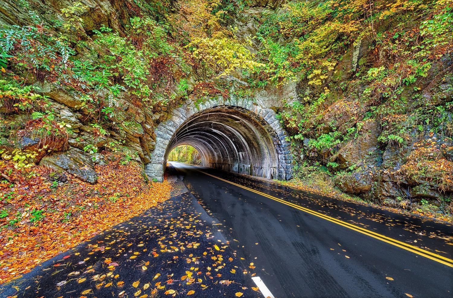 Her Majesty'S Way, Awesome Mtn Views, 1089 Free Tickets Each Paid Day, Dollywood And More Гатлінбург Екстер'єр фото
