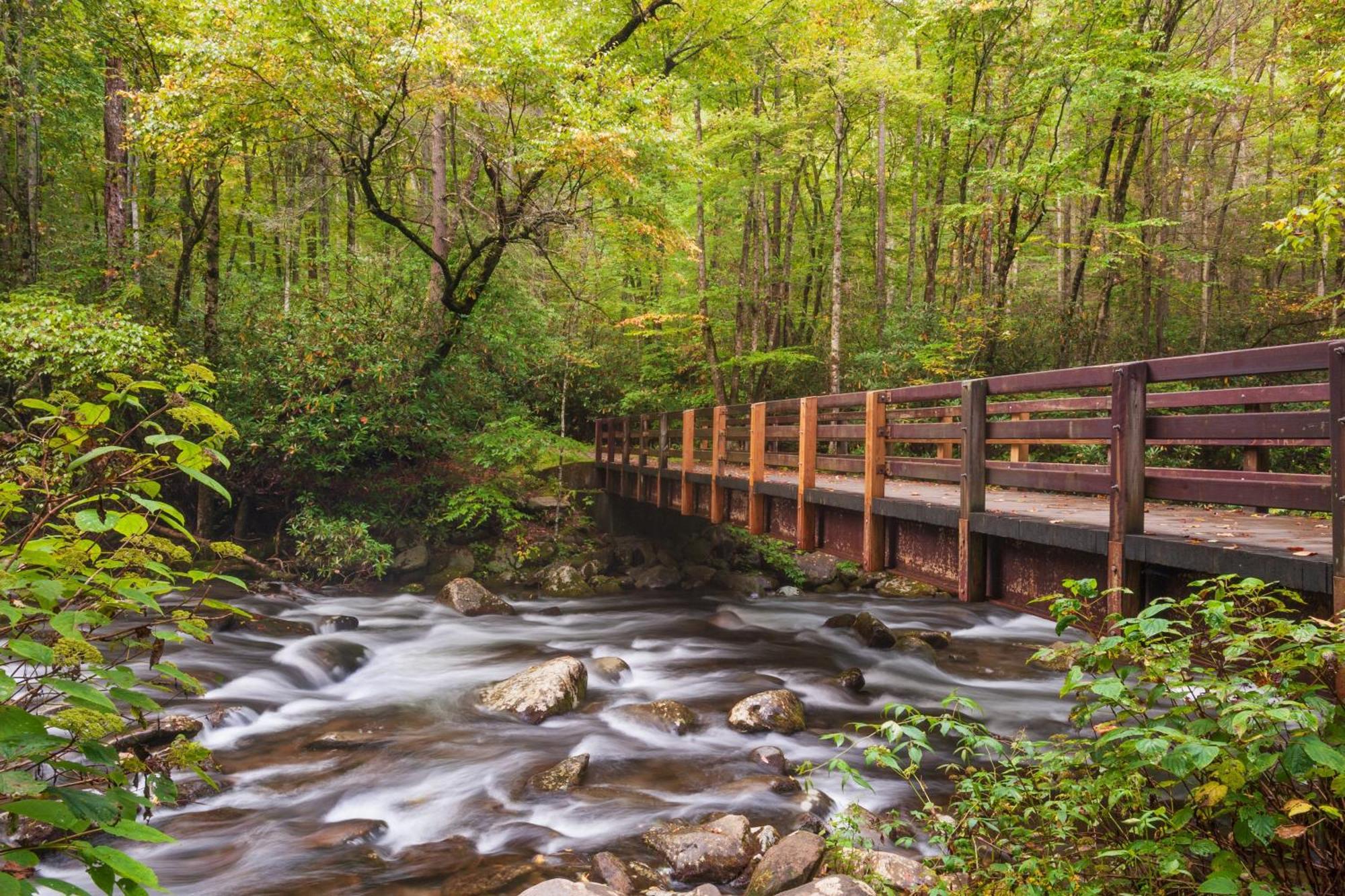 Her Majesty'S Way, Awesome Mtn Views, 1089 Free Tickets Each Paid Day, Dollywood And More Гатлінбург Екстер'єр фото